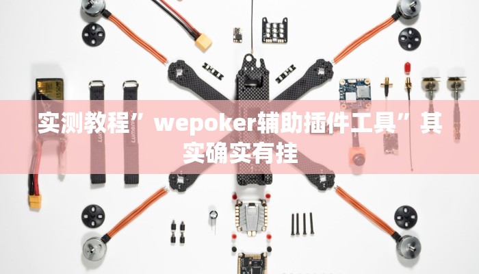 实测教程”wepoker辅助插件工具”其实确实有挂