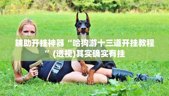 辅助开挂神器“哈狗游十三道开挂教程”(透视)其实确实有挂