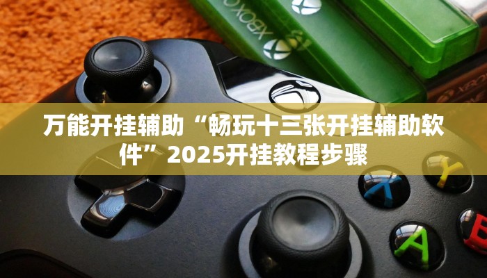 万能开挂辅助“畅玩十三张开挂辅助软件”2025开挂教程步骤