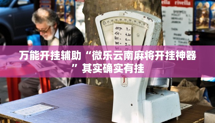 万能开挂辅助“微乐云南麻将开挂神器”其实确实有挂