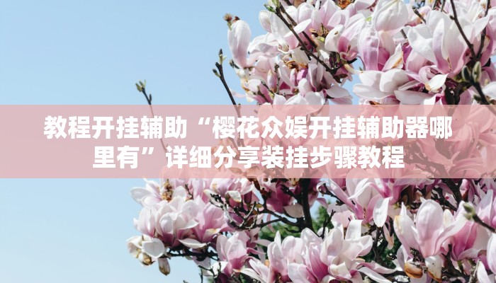 教程开挂辅助“樱花众娱开挂辅助器哪里有”详细分享装挂步骤教程