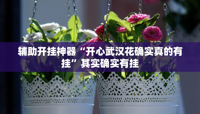 辅助开挂神器“开心武汉花确实真的有挂”其实确实有挂