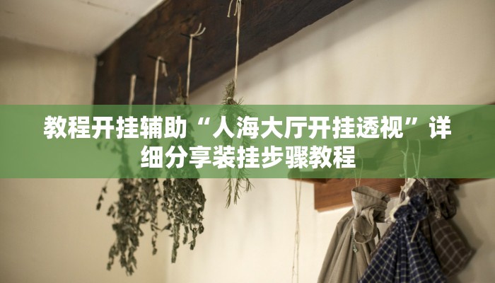 教程开挂辅助“人海大厅开挂透视”详细分享装挂步骤教程