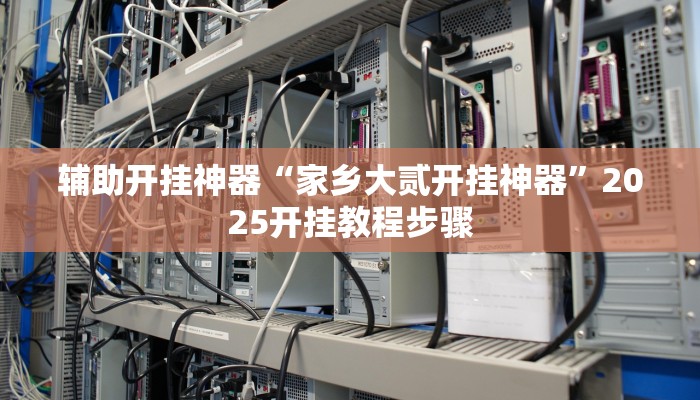 辅助开挂神器“家乡大贰开挂神器”2025开挂教程步骤