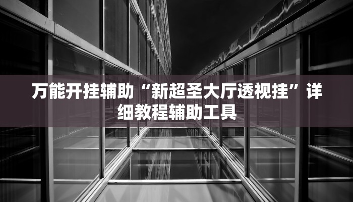 万能开挂辅助“新超圣大厅透视挂”详细教程辅助工具
