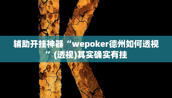辅助开挂神器“wepoker德州如何透视”(透视)其实确实有挂