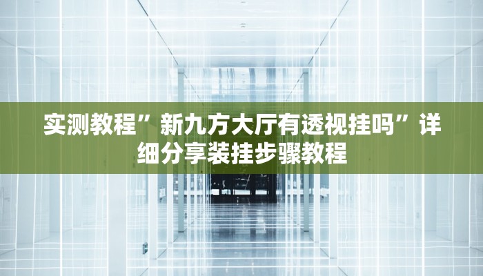 实测教程”新九方大厅有透视挂吗”详细分享装挂步骤教程