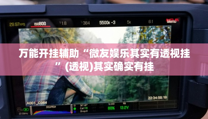 教程开挂辅助“wpk透视挂究竟是真的吗”开挂(透视)辅助教程