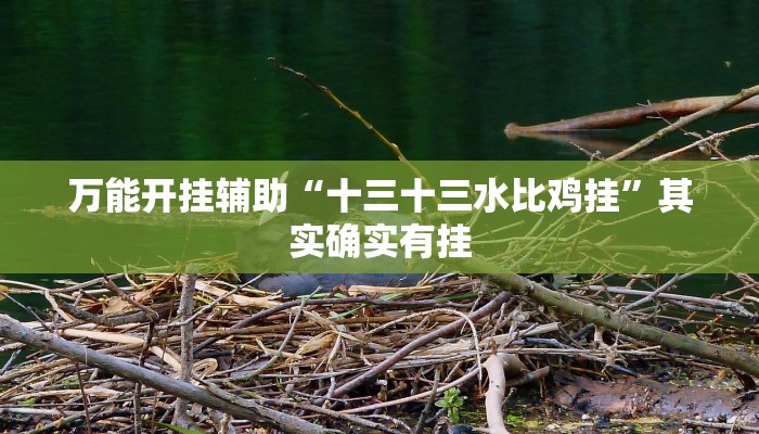 万能开挂辅助“十三十三水比鸡挂”其实确实有挂