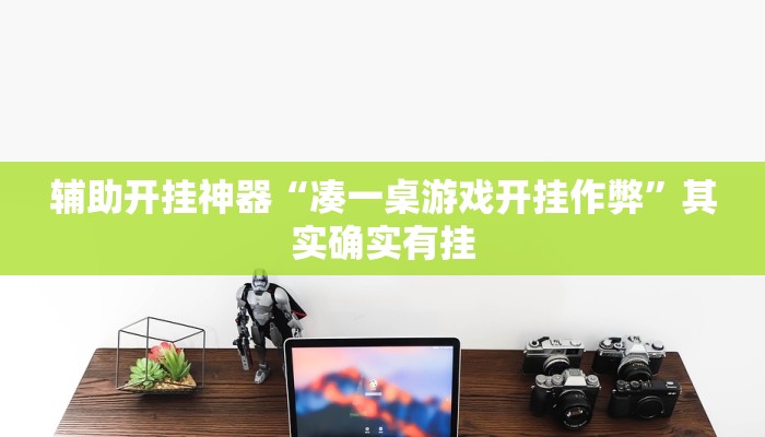辅助开挂神器“凑一桌游戏开挂作弊”其实确实有挂