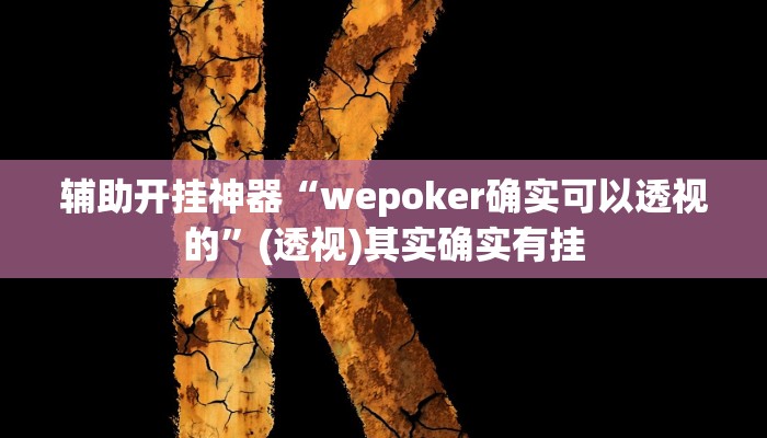 辅助开挂神器“wepoker确实可以透视的”(透视)其实确实有挂