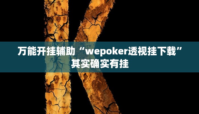 万能开挂辅助“wepoker透视挂下载”其实确实有挂
