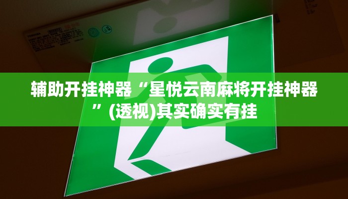辅助开挂神器“星悦云南麻将开挂神器”(透视)其实确实有挂