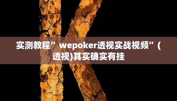 实测教程”wepoker透视实战视频”(透视)其实确实有挂