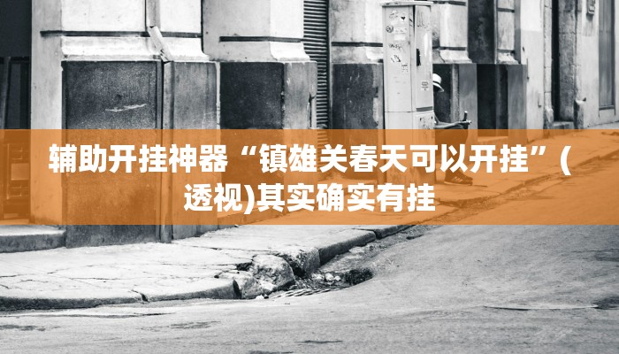 辅助开挂神器“镇雄关春天可以开挂”(透视)其实确实有挂